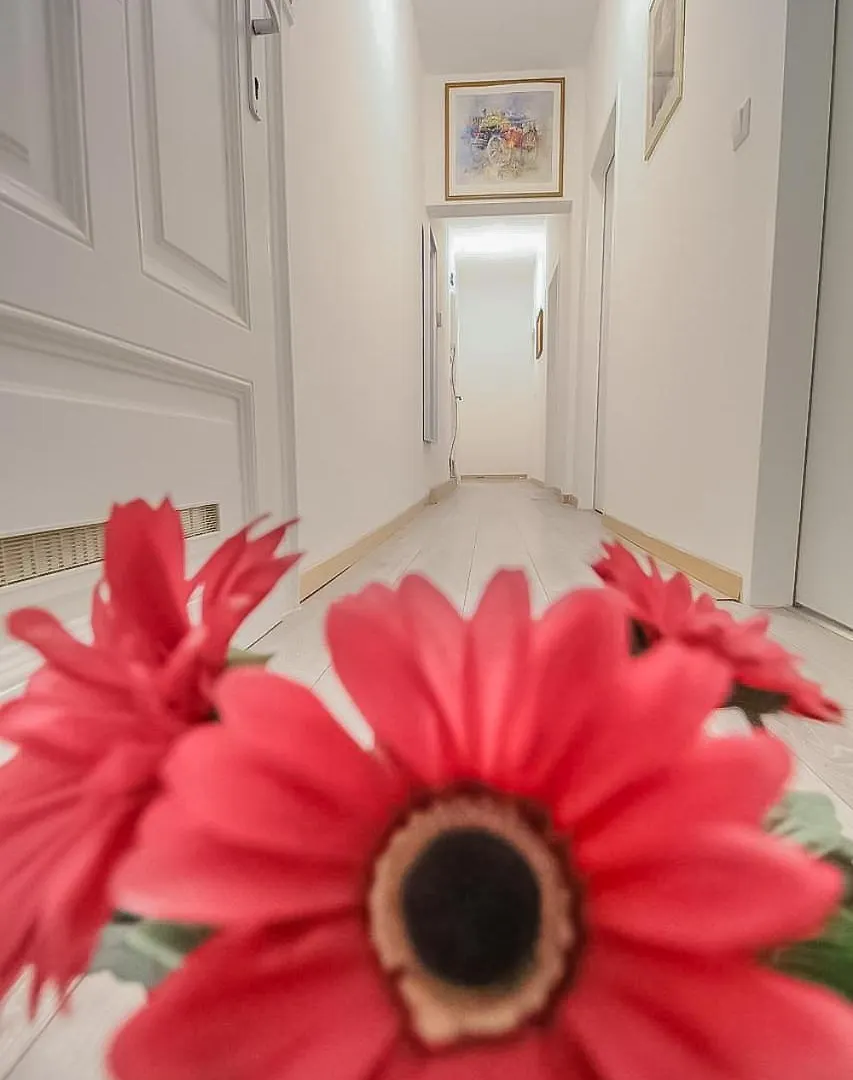 Apartment In Josefstaedter Strasse Area Vienna Austria